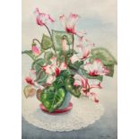 Irene Ann Rowe, Variegated Cyclamen, watercolour, signed bottom right, paper label verso, silver