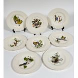 A set of eight Alferd Meakin, dinner plates decorated " Bird of America", such as the king bird,
