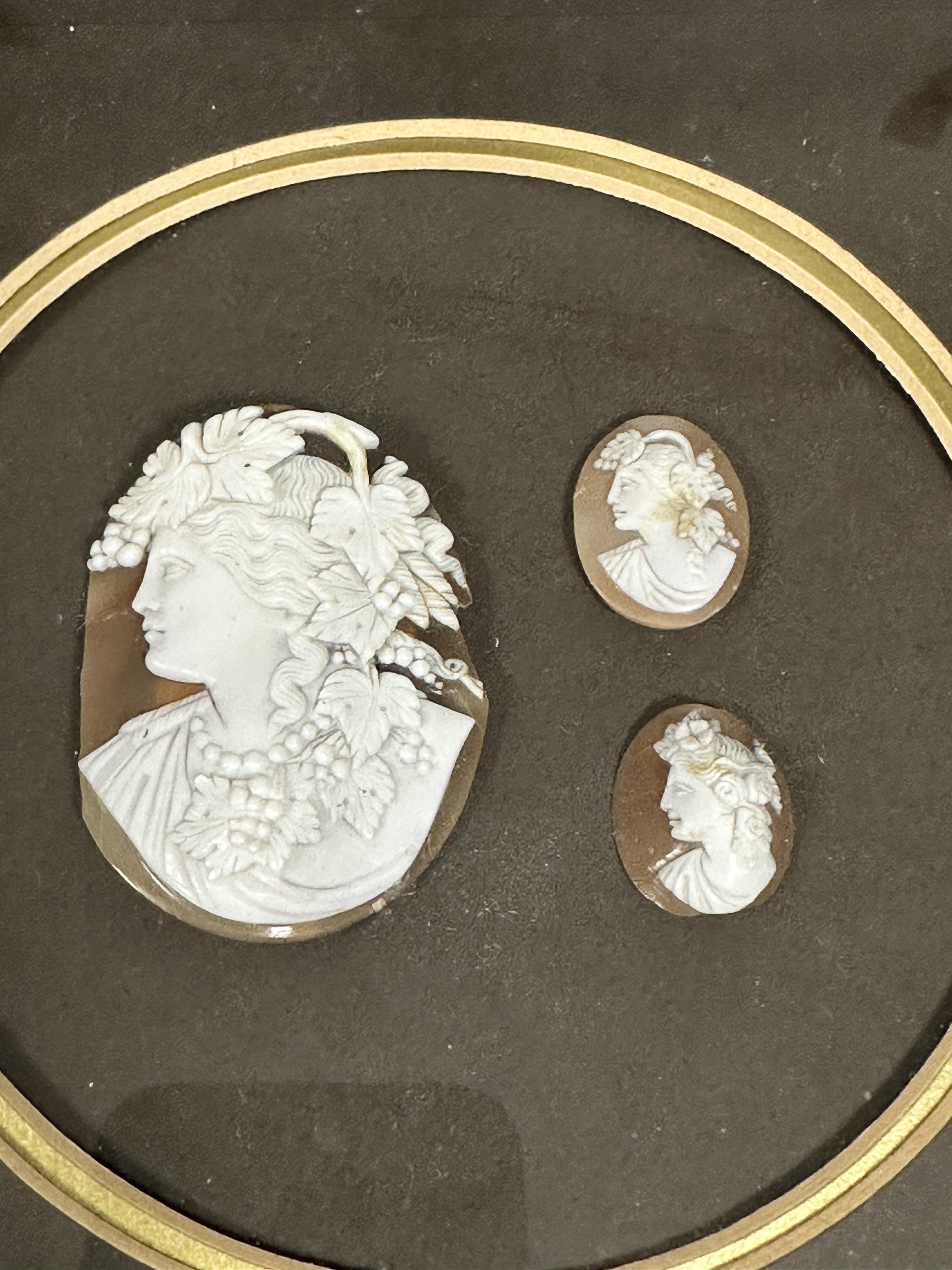 A gilt box frame containing a group of three 19thc shell carved cameos depicting portraits of - Image 2 of 2