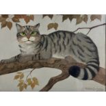 Ralston Gudgeon RSW (1910-1984) Scottish Wildcat on a branch of a beech tree, watercolour, signed