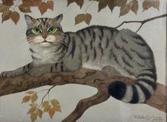 Ralston Gudgeon RSW (1910-1984) Scottish Wildcat on a branch of a beech tree, watercolour, signed