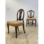 An Adam style mahogany dining chair, late 18th century, with gadrooned oval back and fluted splat,