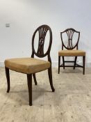 An Adam style mahogany dining chair, late 18th century, with gadrooned oval back and fluted splat,