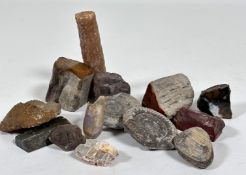 A collection of minerals and fossils including two ammonites, a fossilized cockle shell, rock