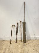 A collection of five walking sticks in a canvas bag