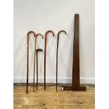A Collection of five walking canes, longest L91cm, together with an early 20th century mahogany t