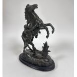 A cast spelter model of a Marley horse and Figure on oval moulded hardwood base (46cm x base: 32cm x