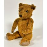 A 1900 / 1920s golden mohair straw filled articulated teddy bear with slight hump to back with