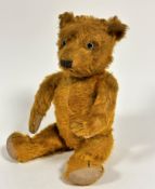 A 1900 / 1920s golden mohair straw filled articulated teddy bear with slight hump to back with