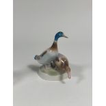 A Zsolnay Pecs porcelain model of two ducks. (marked verso)