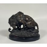 After Antoine Louis Barye (1795-1875), Lion au Serpent, a patinated bronze, on a slate plinth.