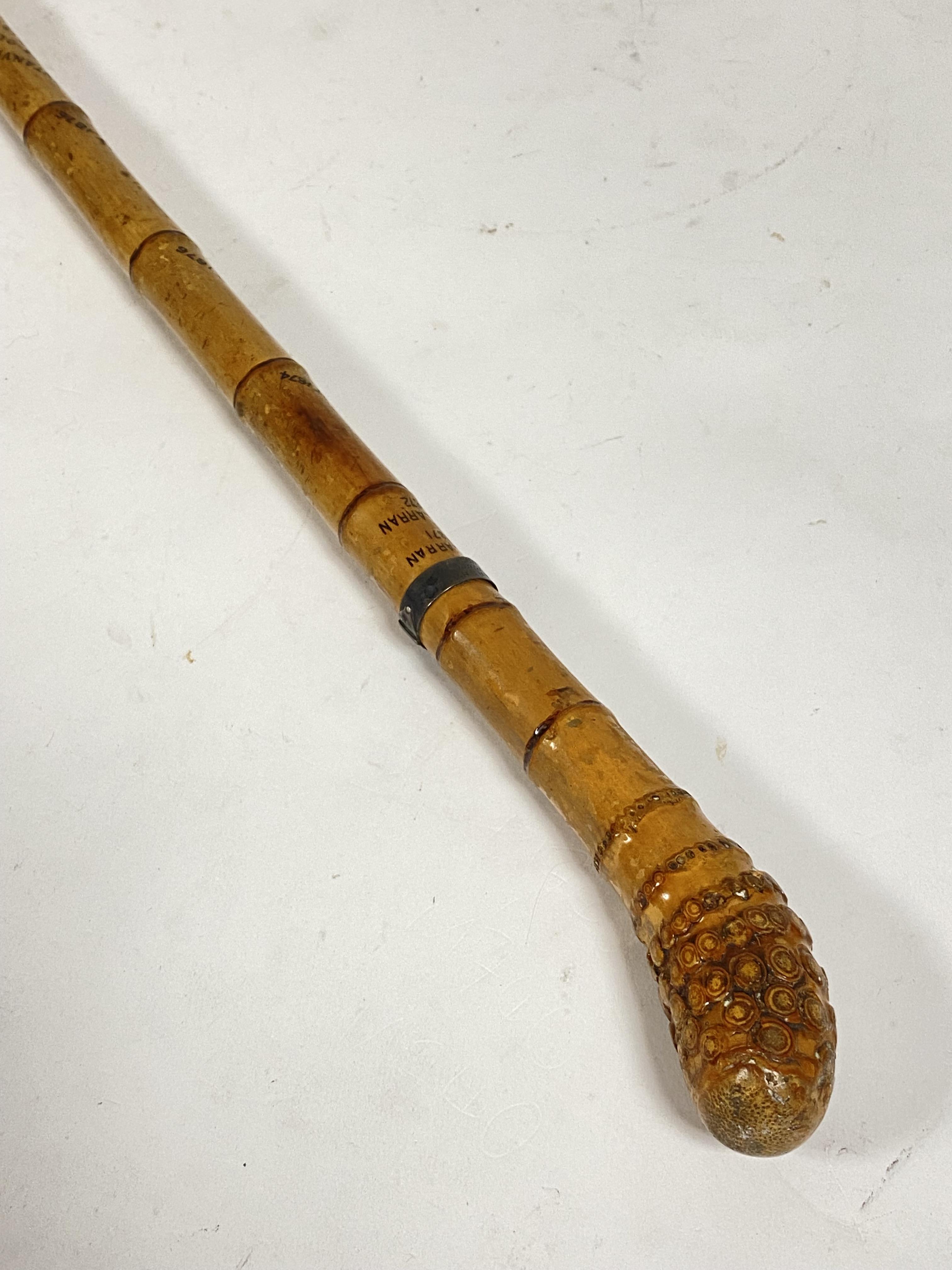 A bamboo lady mountaineer's walking cane, third quarter of the 19th century, inscribed to the - Image 2 of 3