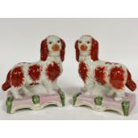 A pair of reproduction Staffordshire style King Charles spaniels on moulded rectangular bases