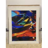 A folder containing 20 large mounted abstract prints