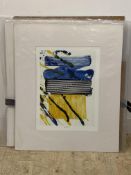 A folder containing 20 large mounted abstract prints