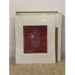 A folder containing 20 large mounted abstract prints