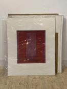 A folder containing 20 large mounted abstract prints