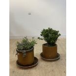 Two terracotta cylindrical chimney pot planters, on plastic trays H36cm