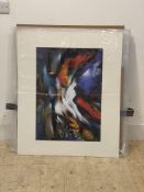 A folder containing 20 large mounted abstract prints