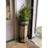 A Victorian terracotta chimney pot of faceted octagonal form, plated with a common box tree