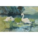 Roy Young Ferguson, RSW, (Scottish, 1907-1981) Swans at Crinan, watercolour, signed bottom right,