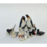 A group of Island Porcelain birds comprising a Puffin, Black-Headed Gull, Gannet, Pintail, Oyster
