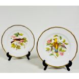 A pair of modern Spode china scalloped plates decorated with Audubon birds, including Bohemian Wax