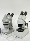 A Nikon 71561 model binocular stereo microscope (h- 26cm) and a Brunel binocular microscope (h-