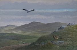 •Donald Watson (British, 1918-2015), A Pair of Hen Harriers, signed lower right, watercolour,