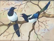 •Ralston Gudgeon R.S.W. (Scottish, 1910-84), Magpies, signed lower right, watercolour, framed.