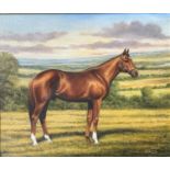 Bernard J Davies, Study of a Bay Stallion, oil on canvas, signed bottom right, in oak stained
