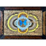 A 1920s/30s butterfly wing decorated panel with centre irridescent butterfly with radiating exotic