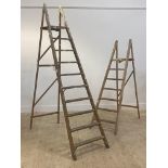 A graduated pair of vintage beech decorators step ladders larger H217cm