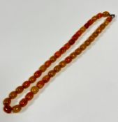 A mixed colour butterscotch and golden coloured 1930s style amber bead necklace (each bead: 0.