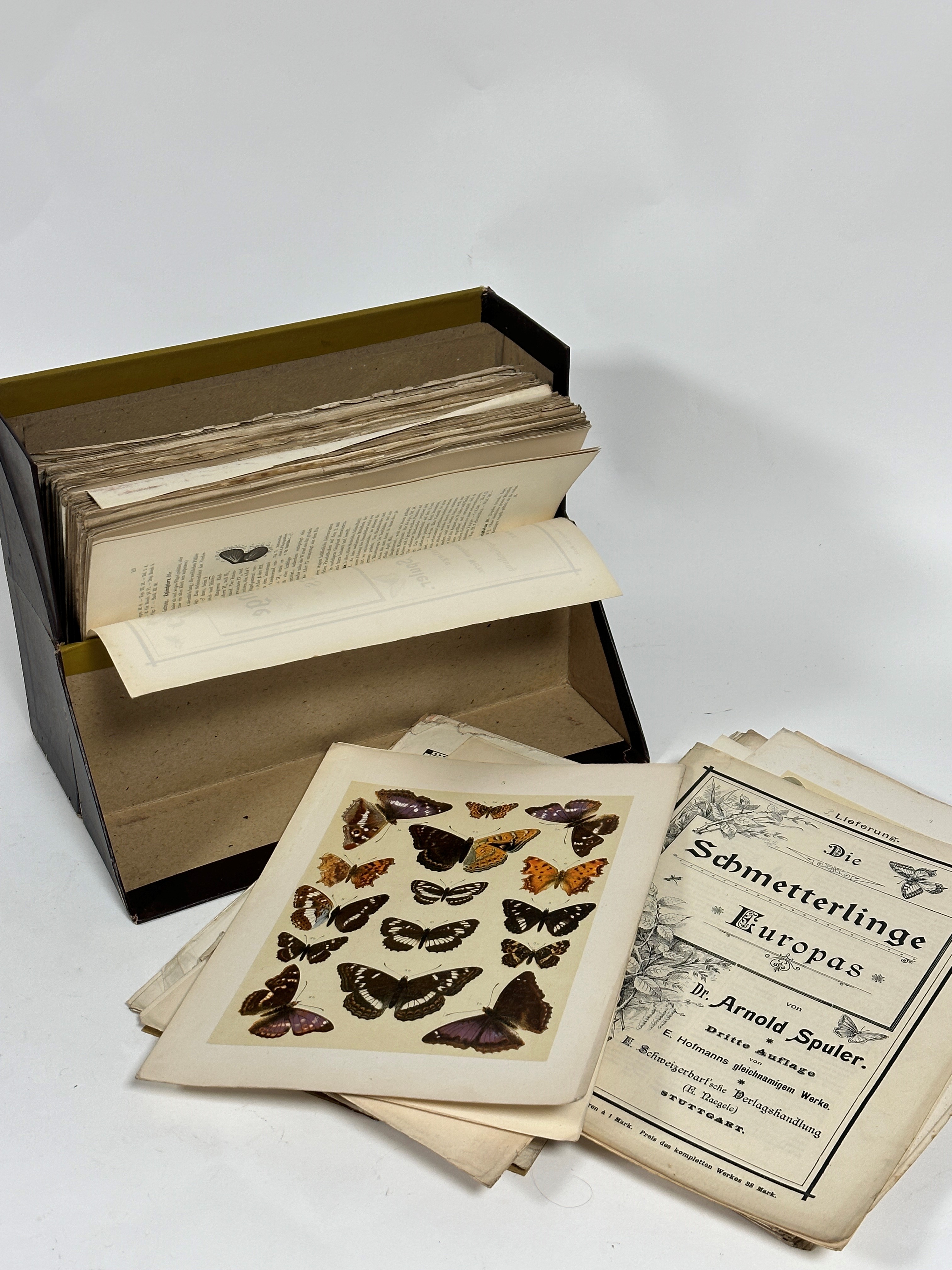 A folio containing a large collection of unbound pages of The Works of Doctor Arnold Spuler,