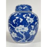 A Chinese blue and white porcelain ginger jar decorated with Prunus blossoms and with apocryphal