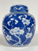 A Chinese blue and white porcelain ginger jar decorated with Prunus blossoms and with apocryphal