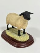 A Border Fine Arts model, Tup, mounted on hardwood base by Anne Wall (14cm x 16cm x 9cm), no signs