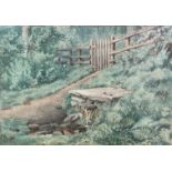 Unknown Artist, woodland stream, watercolour in oak mounted glazed frame, (h x 18cm x l 25cm)