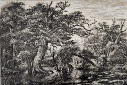 Jacob Van Ruisdael Dutch (1628-1682), A forest marsh with travellers on a bank, etching in oak