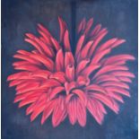 Contemporary School, Study of a Dahlia, unsigned, acrylic on canvas, unframed. 82cm square