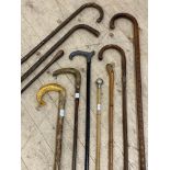 A collection of ten walking sticks, parasol handles etc, one mounted with collar stamped 18ct and