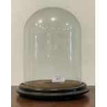 A Victorian glass display dome on ebonised base H30cm