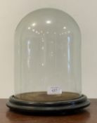 A Victorian glass display dome on ebonised base H30cm