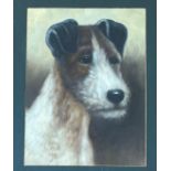 Unknown artist, a study of a Foxhound oil on canvas in a black painted mounted glazed frame (