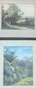 Unknown artist of a woodland scene watercolour in a glazed frame (22cmx26cm) together with a unknown