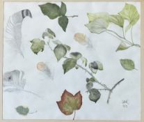 DMR, a study of feathers and leaves pencil highlighted with watercolour (signed initials bottom