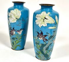 A pair of Japanese Cloisonne tapered cylinder vases Lilly and leaf design on turquoise ground, ( H x