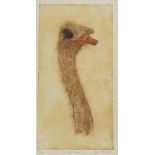 Susan Mitchell (British), Carrington Ostrich I, print 23/30, signed pencil bottom right in a glaze