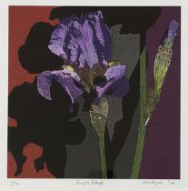 Bryce, Purple Flags print 1/10 in a glazed wooden frame, signed pencil bottom right dated 14. (